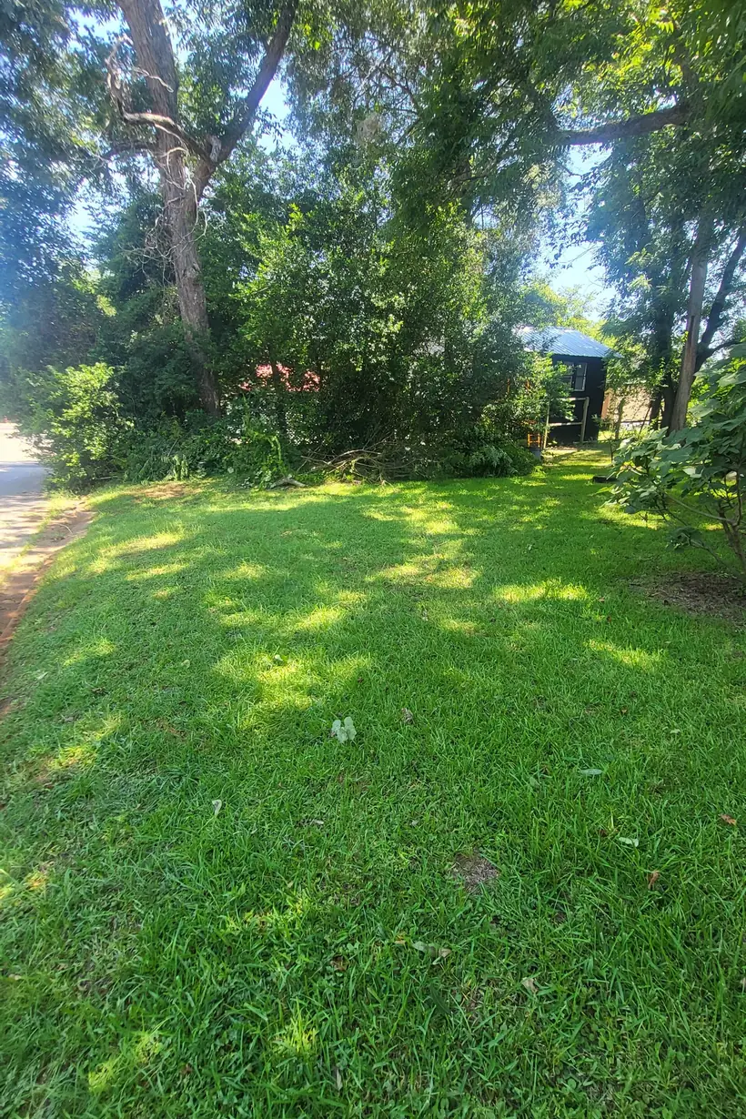Thick green lawn maintained under heavy tree cover