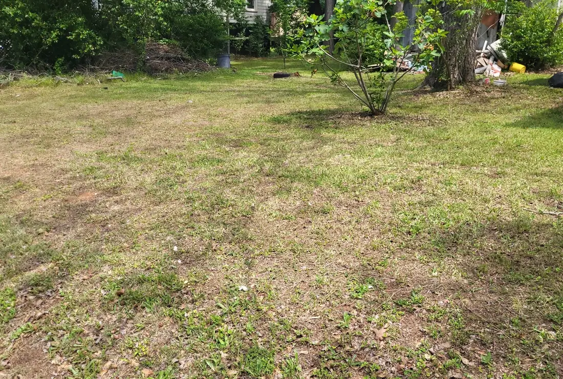Wide open residential lawn after a full mow